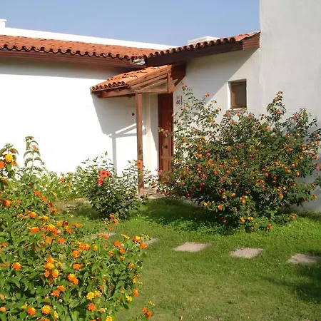 Club Petya Apart דטקה